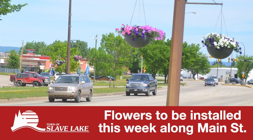 Flowers to be installed this week 