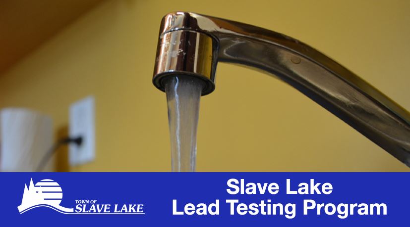 Lead Testing Program