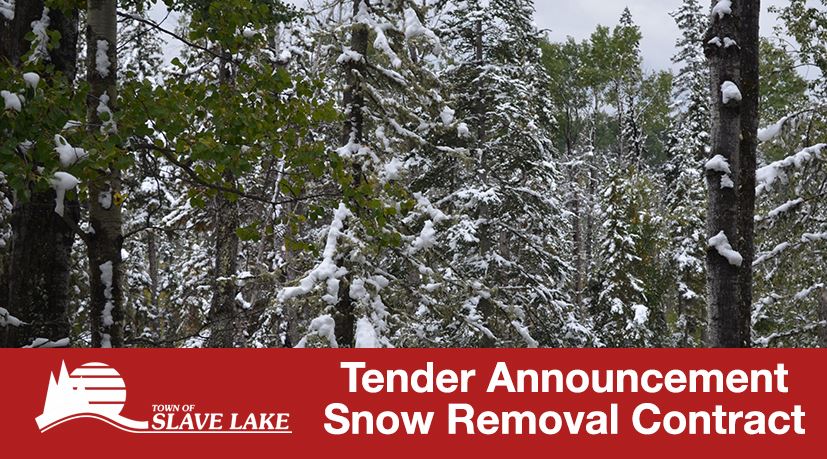 Bid Tender - Snow Removal