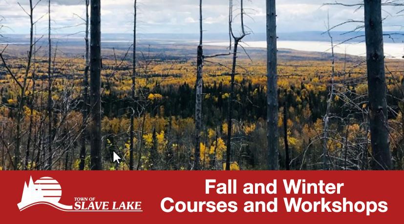 Courses and Workshops