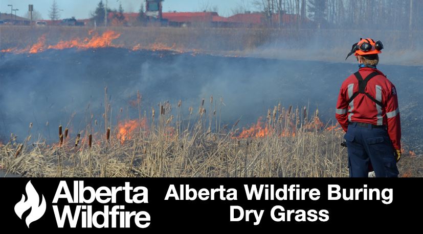 Alberta Wildfire Burning Grass