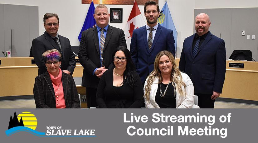 Livestreaming of council meeting